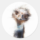 Search for emu stickers Funny