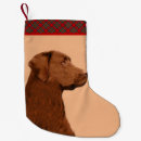 Search for chocolate lab christmas stockings Cute