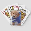 Search for golden retriever playing cards Patriotic