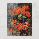 Search for flame red postcards Vintage