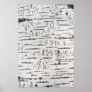 Search for birch bark posters Nature