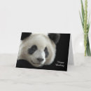 Search for panda birthday cards China