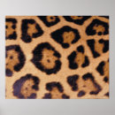 Recherche de peau de léopard posters Faune
