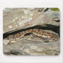 Search for rattlesnakes mousepads Nature