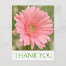 Search for pink gerbera thank you cards For her