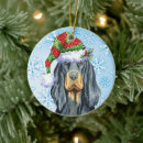 Search for gordon setter ornaments Dog