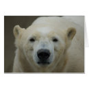 Search for polar bear face postcards Winter