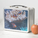 Recherche de poissons de clown Pour enfants
