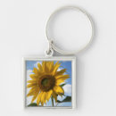Search for backcountry keychains Colourful