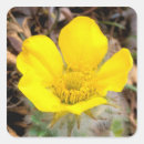 Search for north to alaska stickers National park