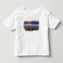 Search for pond reflection tshirts National park