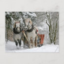 Recherche de traîneau cartes postales Forêt