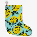 Recherche de citron chaussette de noël Été