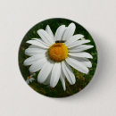 Search for bee image buttons Summer
