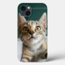 Search for cute kitten iphone cases Feline