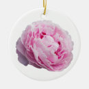 Search for peony ornaments Retro