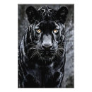 Search for black panther art Nature