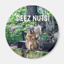 Recherche de animal drôle magnets Humour