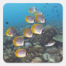 Search for school of fish stickers Underwater