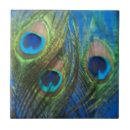 Search for blue peacock feather tiles Colourful