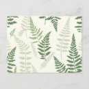 Search for fern postcards Elegant