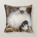 Recherche de coop coussins Poussins