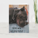 Search for lonely dog cards Sad