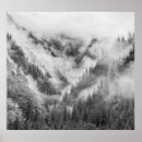 Search for misty trees posters Sky