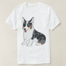 Search for blue merle corgi Cute