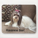 Search for havanese mousepads Dog
