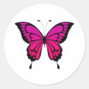 Search for pink purple butterfly stickers Nature