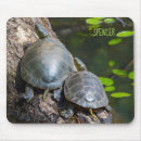 Search for painted turtles mousepads Reptile