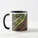 Search for california state parks mugs Big