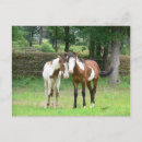 Recherche de peintures de cheval cartes postales Image