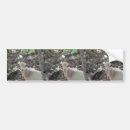 Search for goat bumper stickers Animal