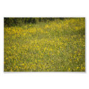 Recherche de papillon jaune posters Paysage