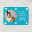 Search for cat breeder business cards Animal
