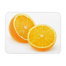 Search for chops magnets Chopped