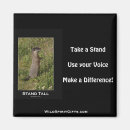 Search for groundhogs magnets Marmot