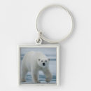 Search for ursus keychains Animal