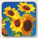 Search for power coasters Flowers