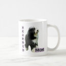Recherche de colleys barbus tasses Dog