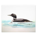 Search for loon art Nature