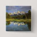 Search for meadows buttons Blue