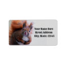 Search for squirrel return address labels Nature