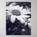 Search for flor posters Black