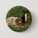 Search for lying down buttons Equestrian