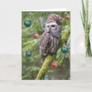 Recherche de oiseau noël cartes Observation des oiseaux