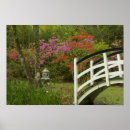 Search for magnolia tree art Nature