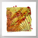 Search for abstract doodle art Orange